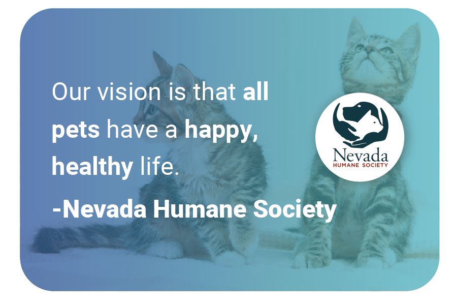 Nevada Humane Society Vision Statement Example